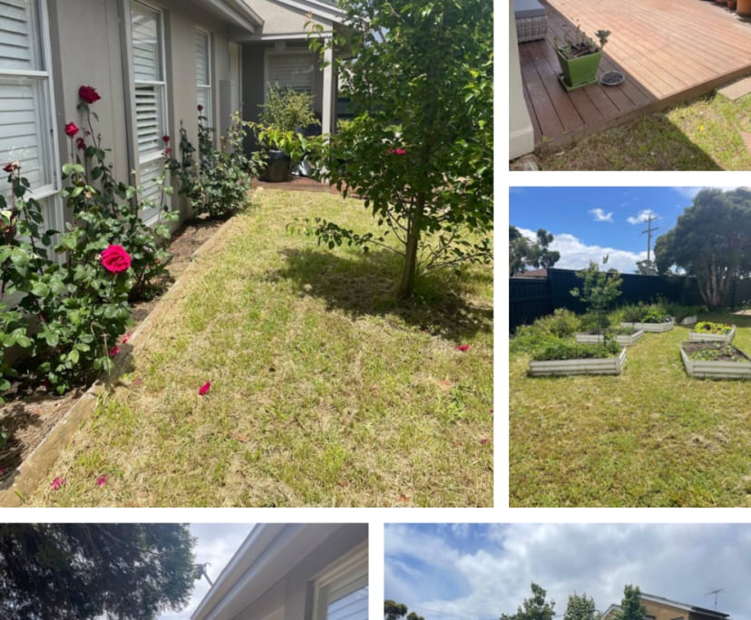 $250, Share-house, 3 bathrooms, Mornington VIC 3931