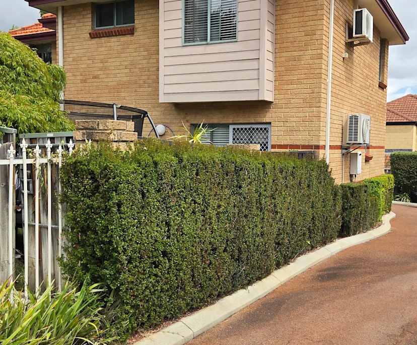 $300, Share-house, 3 bathrooms, Maylands WA 6051