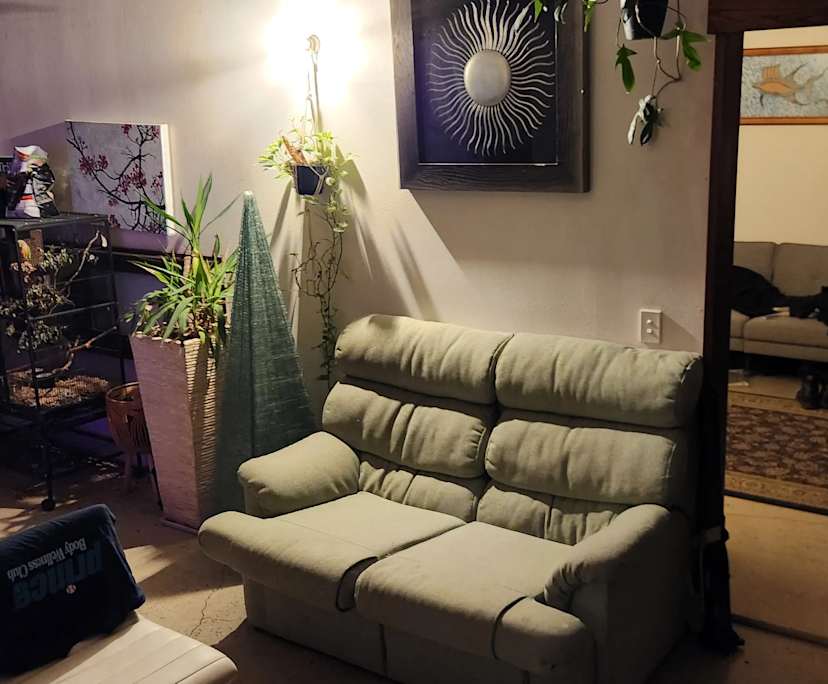 $300, Share-house, 3 bathrooms, Kedron QLD 4031