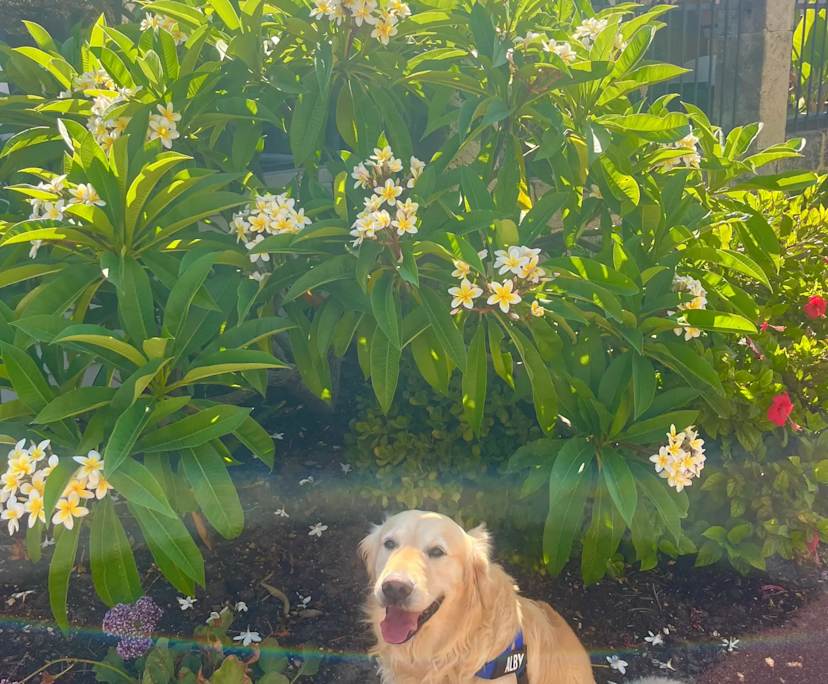 $260, Share-house, 4 bathrooms, North Fremantle WA 6159