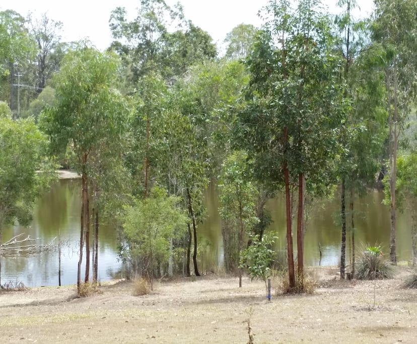 Granny Flat for Rent in Greenbank, Brisbane 280,