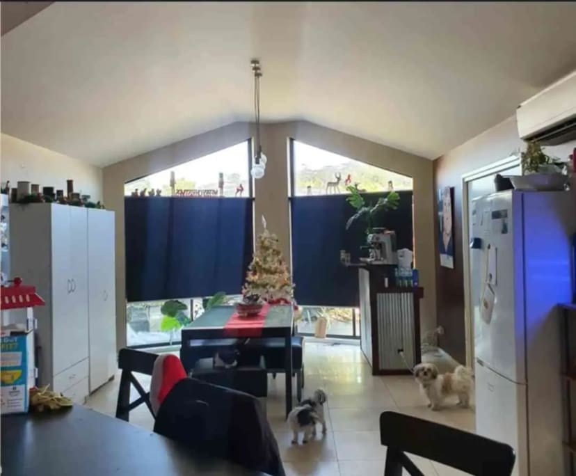 Room in a share house