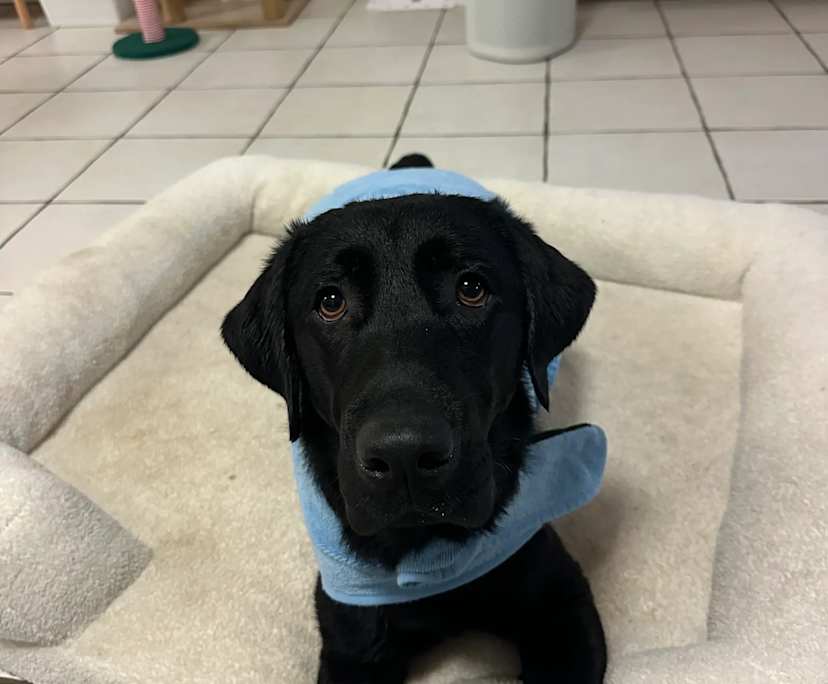 $170, Share-house, 3 bathrooms, Douglas QLD 4814