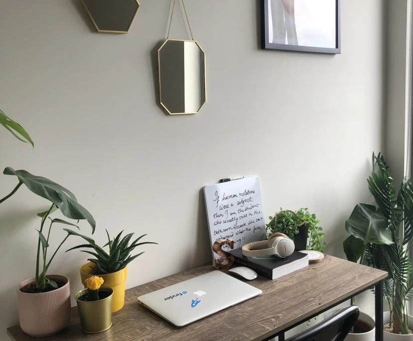 $485, Flatshare, 2 bathrooms, Macquarie Park NSW 2113