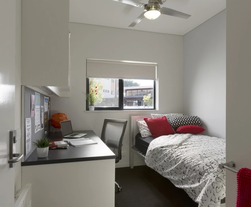 $222-253, Student-accommodation, 2 rooms, Mount Lawley WA 6050, Mount Lawley WA 6050