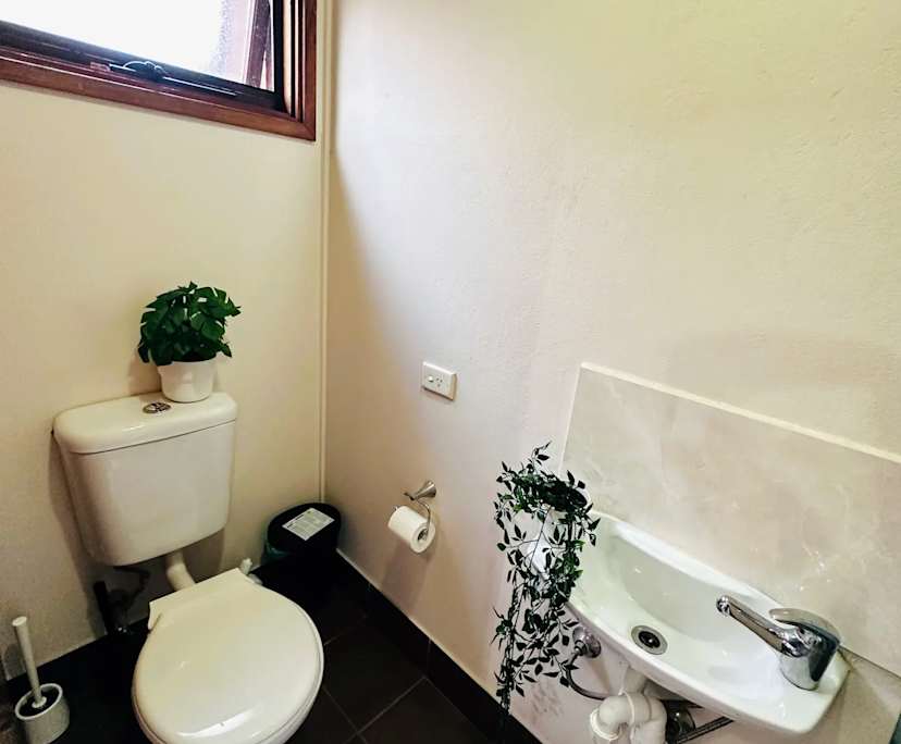 $300, Flatshare, 5 bathrooms, Strathfield NSW 2135