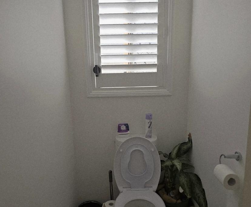 $195, Student-accommodation, 4 bathrooms, Booval QLD 4304