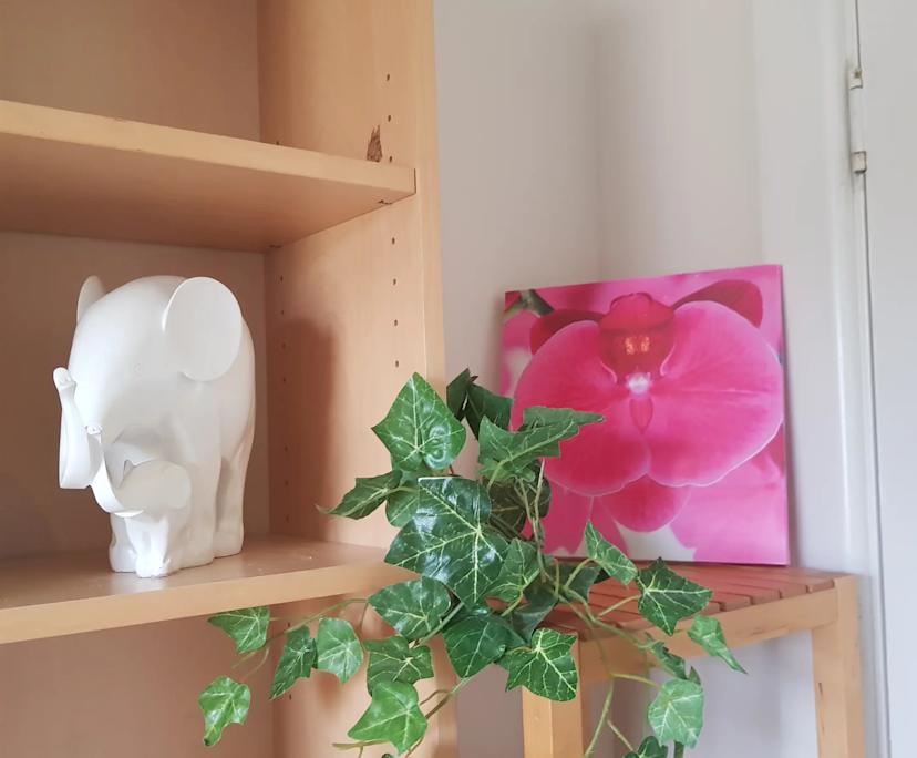 $215, Share-house, 6 bathrooms, Dover Gardens SA 5048