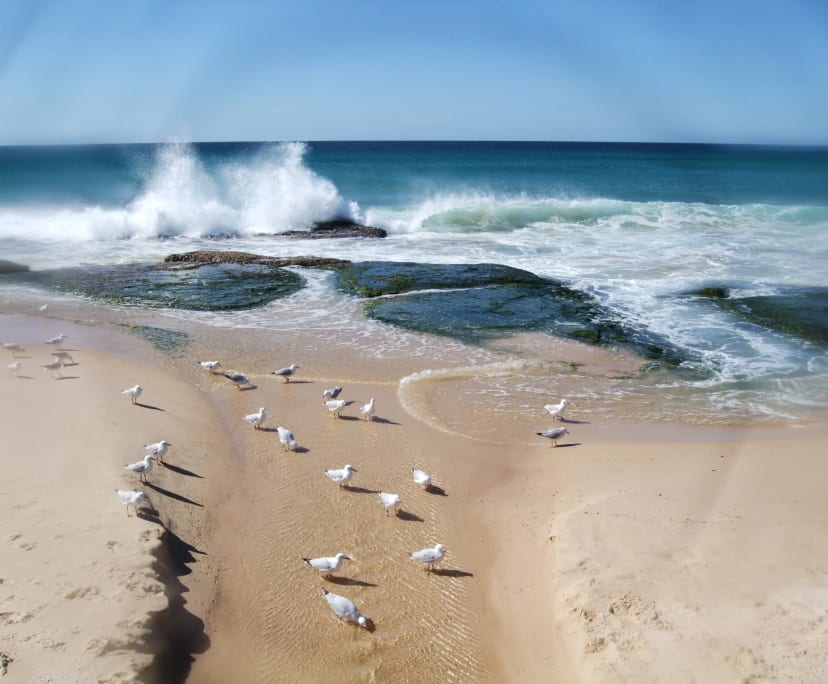 $400, Share-house, 4 bathrooms, Maroubra NSW 2035