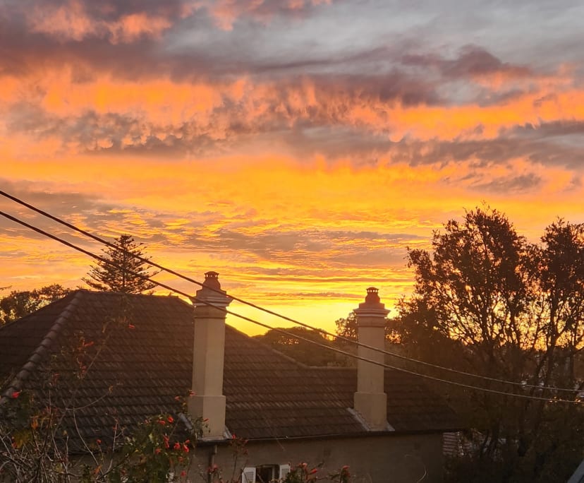 $600, Share-house, 2 bathrooms, Glebe NSW 2037