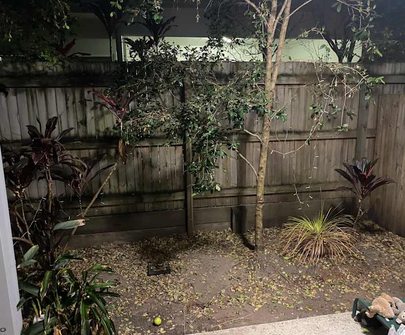 $250, Share-house, 3 bathrooms, Buderim QLD 4556