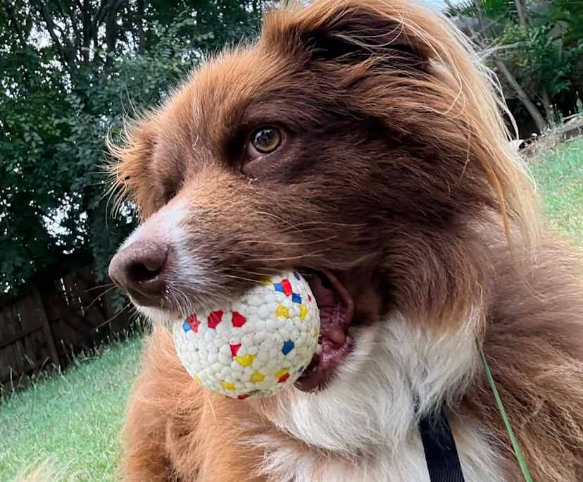 $210, Share-house, 3 bathrooms, Stafford QLD 4053