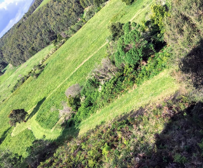 $395, Studio, 1 bathroom, Wongarra VIC 3234