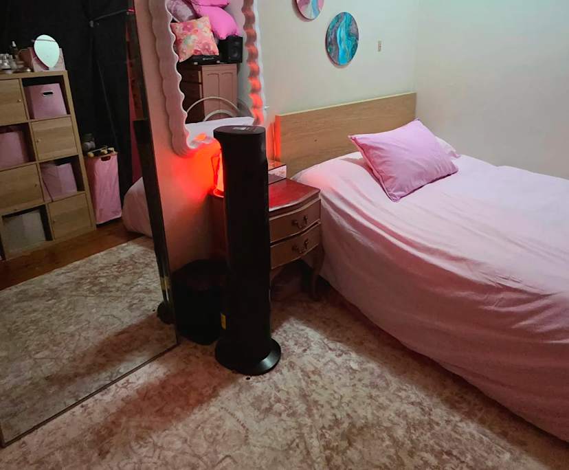 $320, Share-house, 4 bathrooms, Cammeray NSW 2062