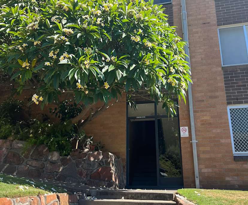 $250, Flatshare, 2 bathrooms, The Hill NSW 2300