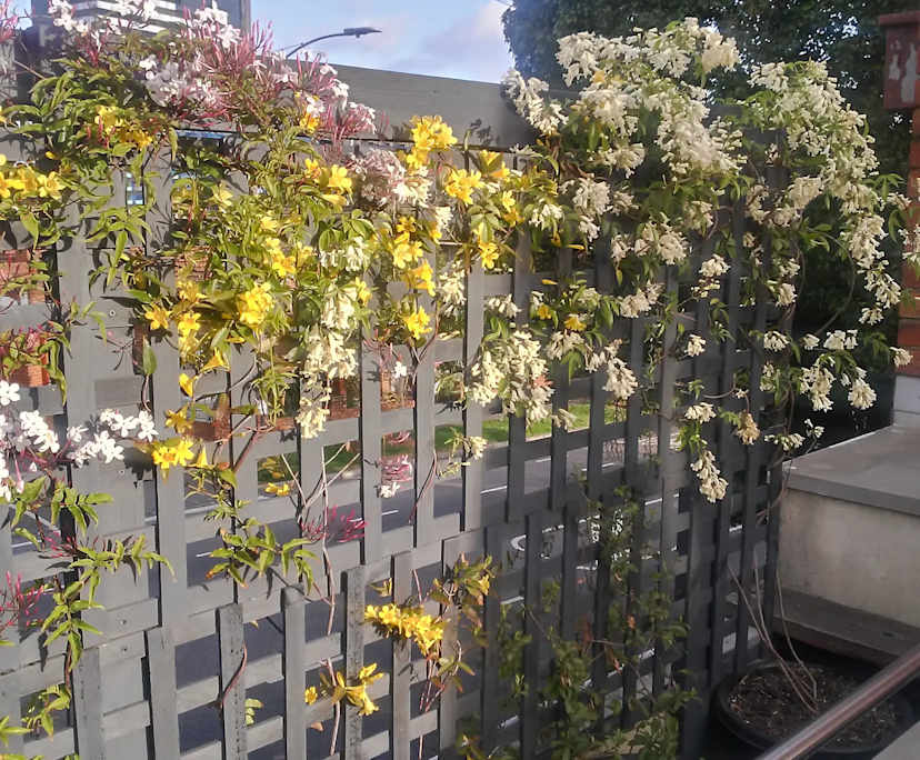 $194, Share-house, 4 bathrooms, Parkville VIC 3052