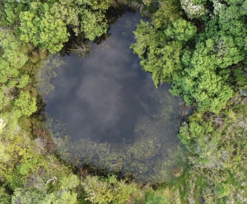 $395, Studio, 1 bathroom, Wongarra VIC 3234