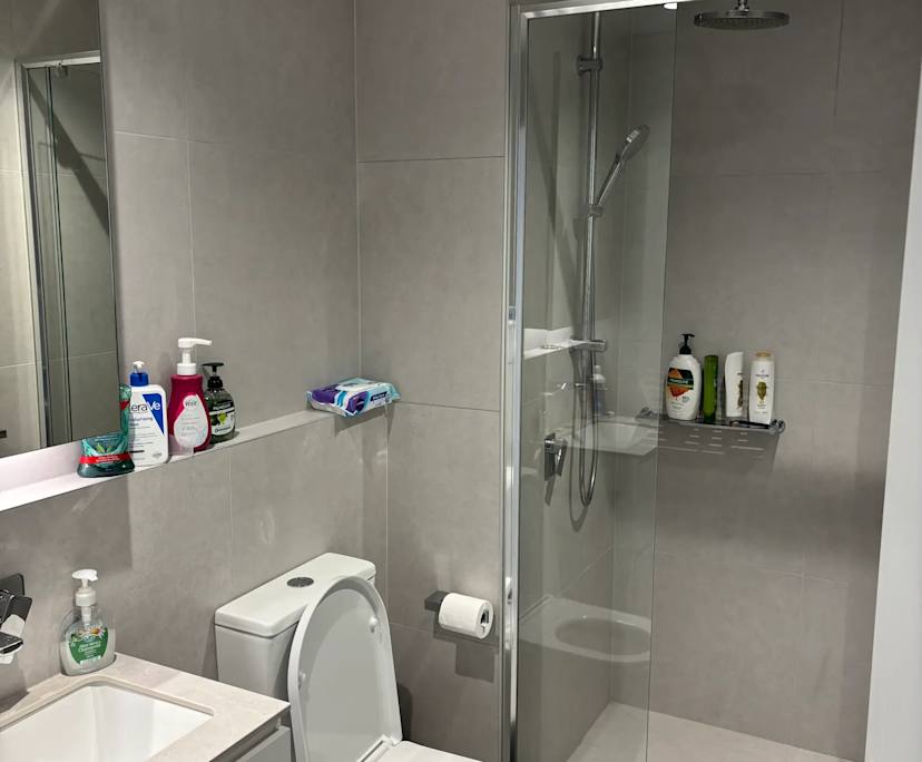 Whole property with 1 room for rent