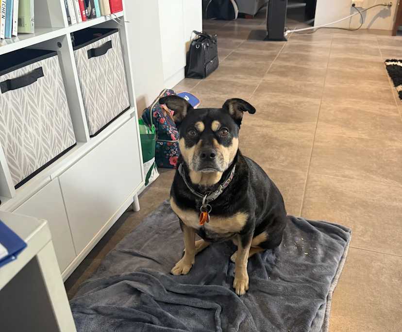 $280, Share-house, 4 bathrooms, Landsdale WA 6065