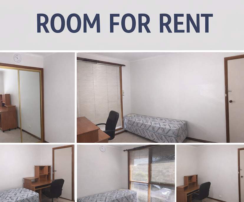Furnished room in a share house