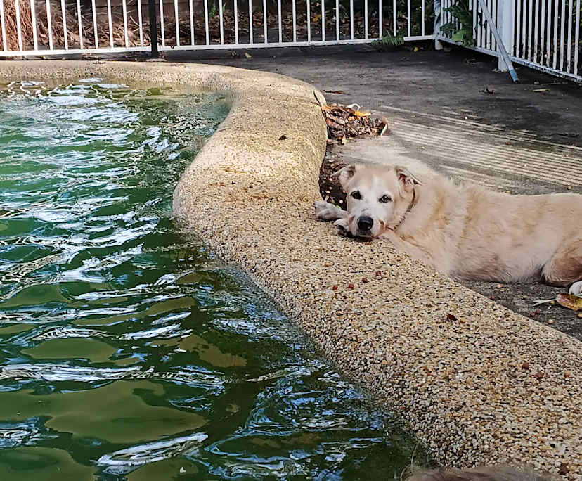 $300, Student-accommodation, 4 bathrooms, Yorkeys Knob QLD 4878