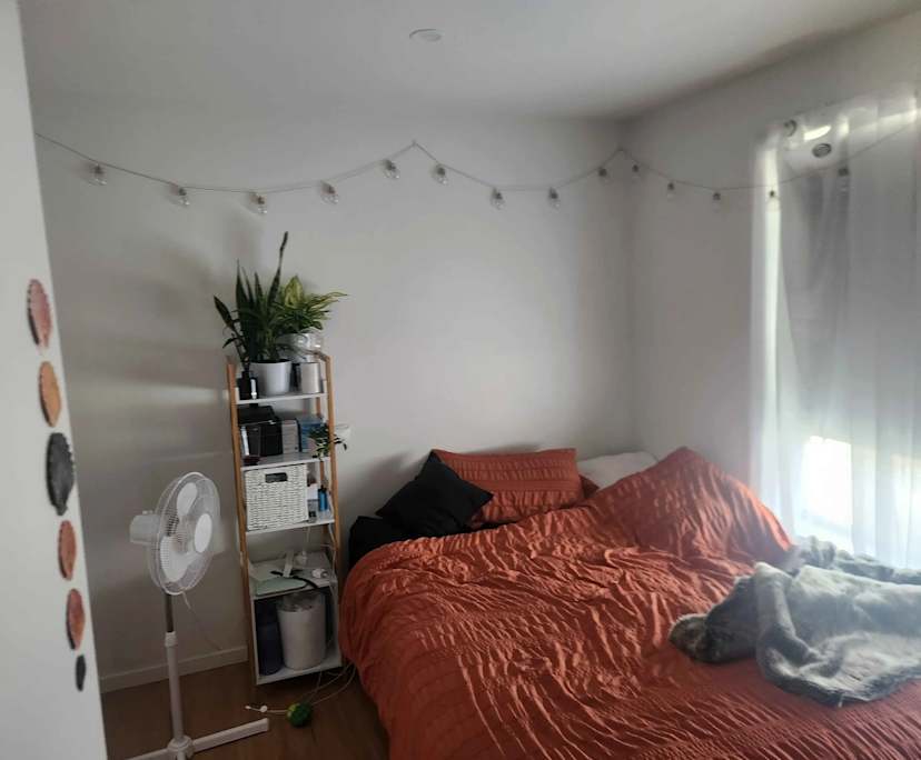 $220, Flatshare, 2 rooms, Rosny Park TAS 7018, Rosny Park TAS 7018