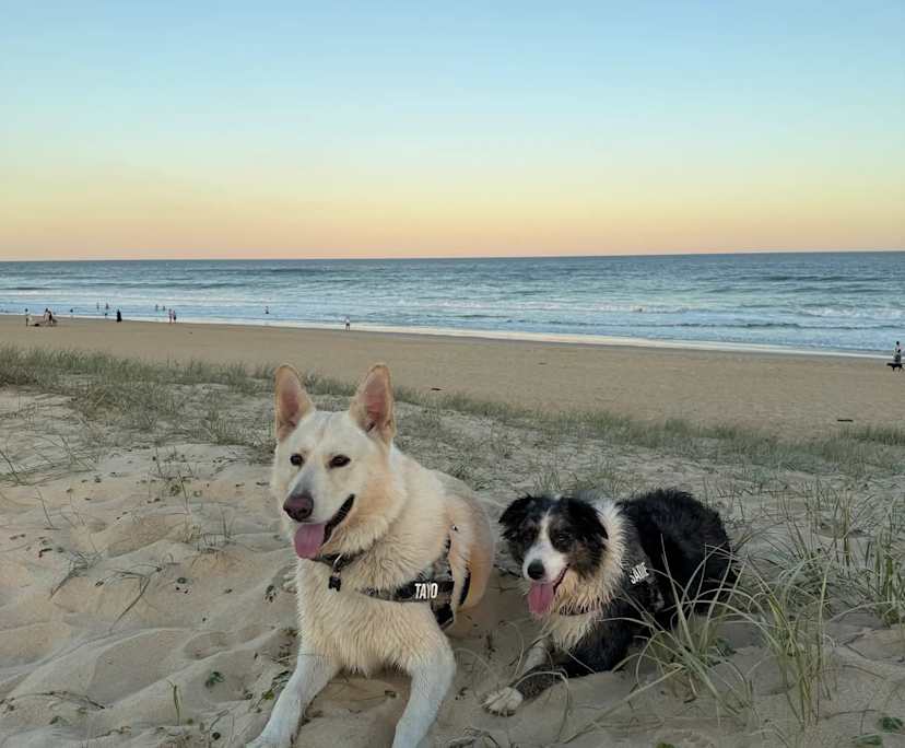 $300, Share-house, 4 bathrooms, Macquarie Hills NSW 2285