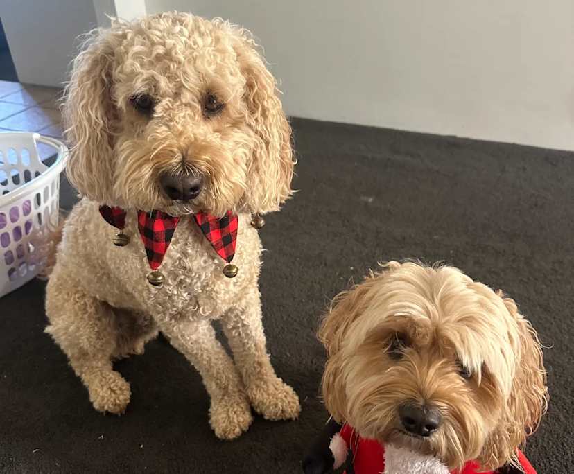 $420, Share-house, 4 bathrooms, Heathridge WA 6027