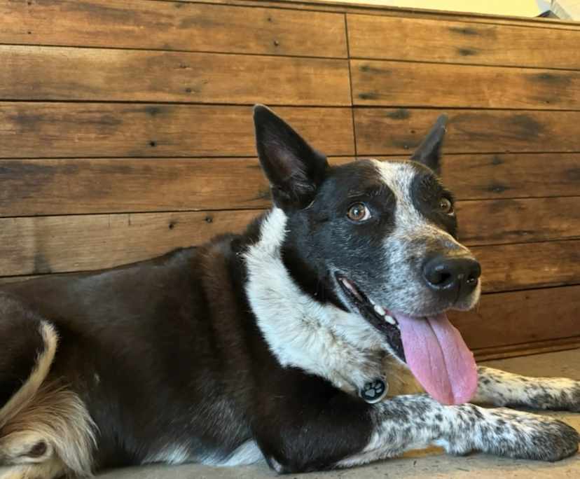 $300, Share-house, 4 bathrooms, Morley WA 6062