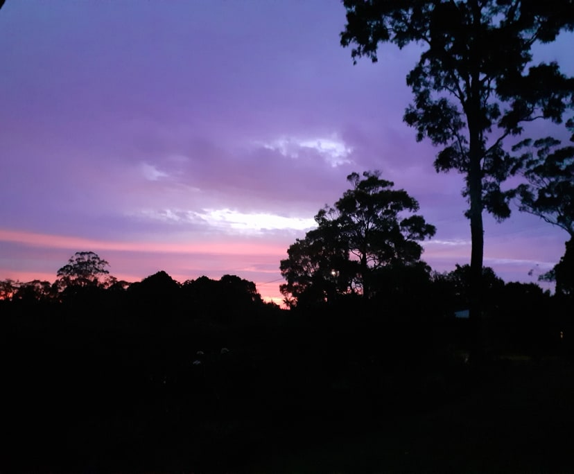 Room for Rent in Clunes, NSW 375, Furnished, Own