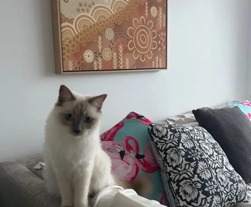 $500, Flatshare, 2 bathrooms, North Bondi NSW 2026