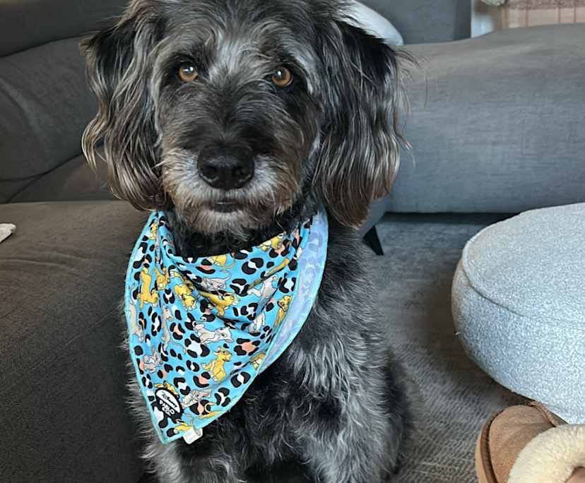 $350, Share-house, 3 bathrooms, Mountain Creek QLD 4557