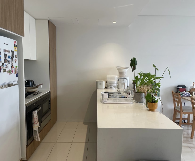 $580, Flatshare, 3 bathrooms, Sydney NSW 2000
