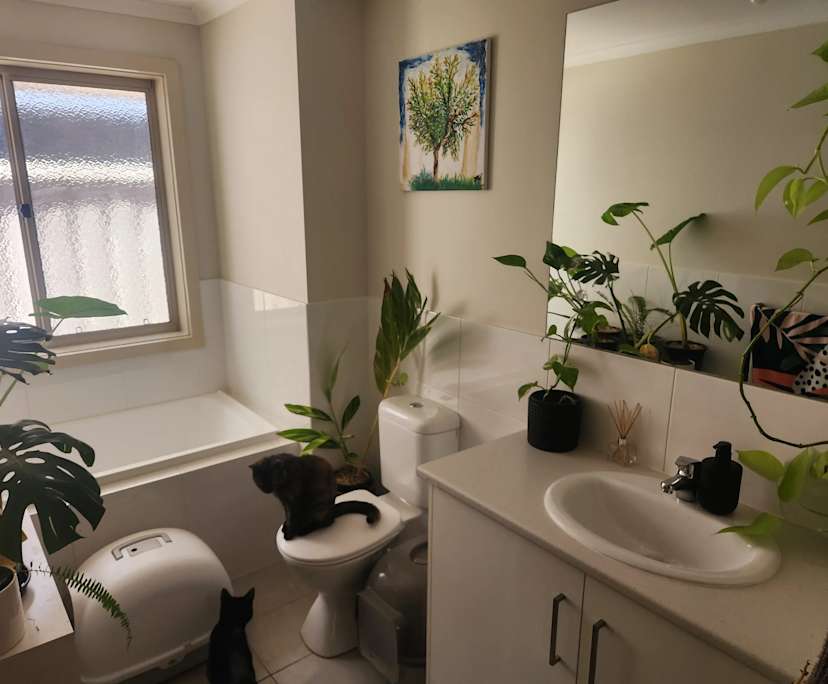 Unfurnished room in a share house