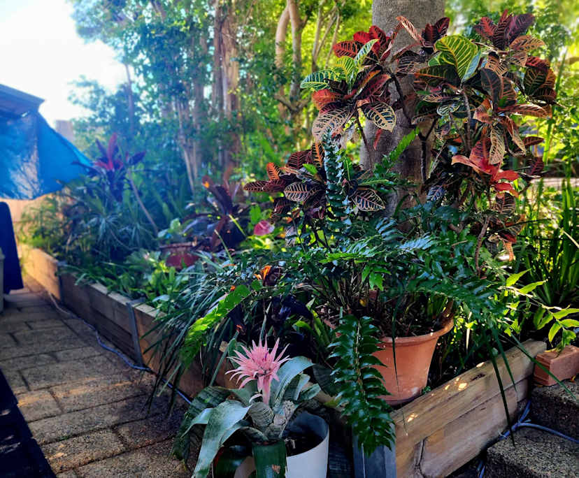 $275, Share-house, 6 bathrooms, Mansfield QLD 4122