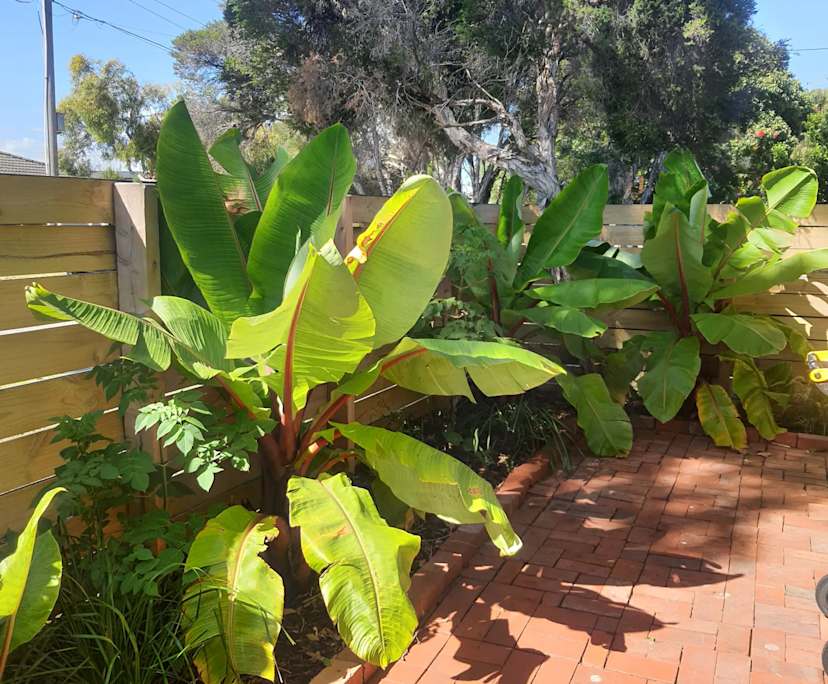 $270, Share-house, 2 bathrooms, Chelsea VIC 3196