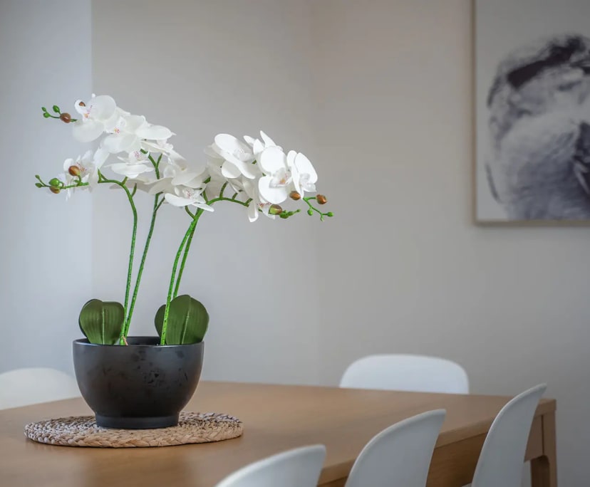 $400, Student-accommodation, 6 bathrooms, Clayton VIC 3168