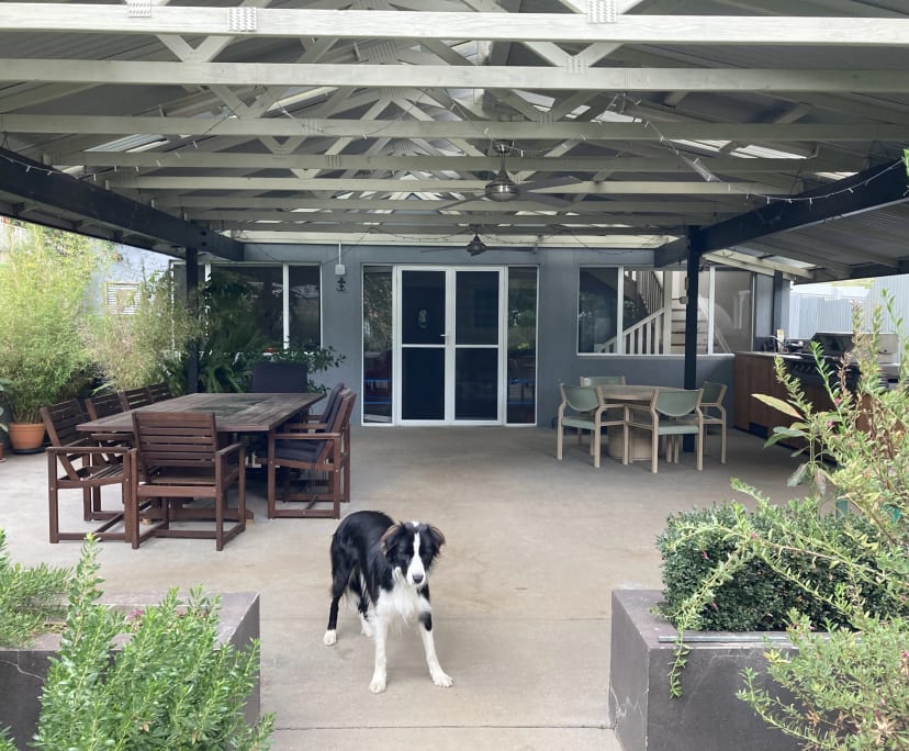 $350, Flatshare, 2 bathrooms, Turvey Park NSW 2650