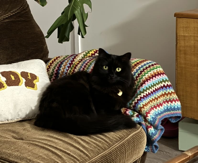 $300, Share-house, 2 bathrooms, Grovedale VIC 3216