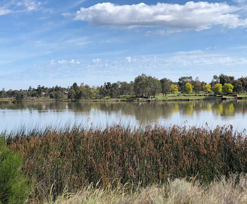 Room in a share house