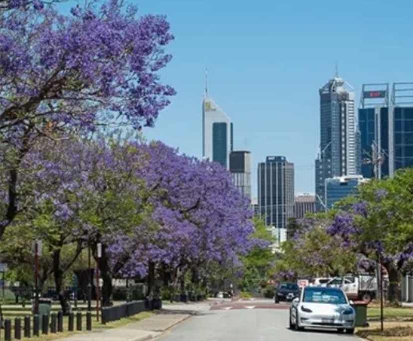 $450, Share-house, 3 bathrooms, North Perth WA 6006