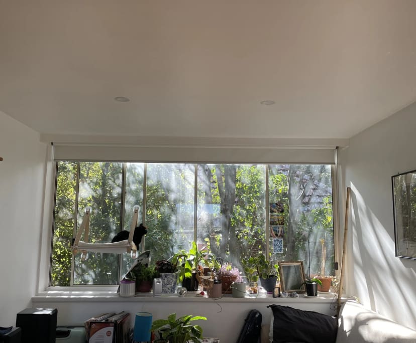 Room in a flatshare