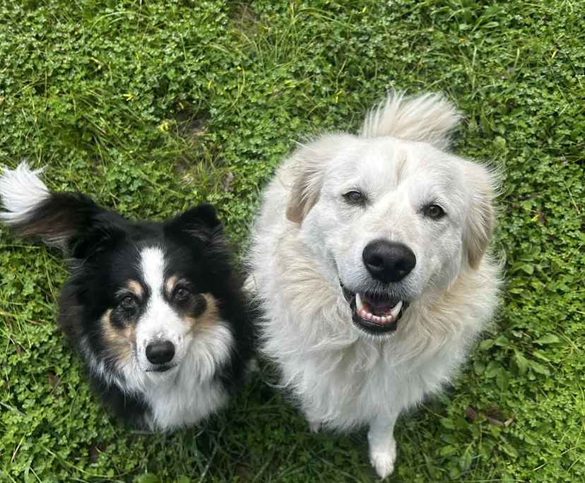 $250, Share-house, 3 bathrooms, Christies Beach SA 5165