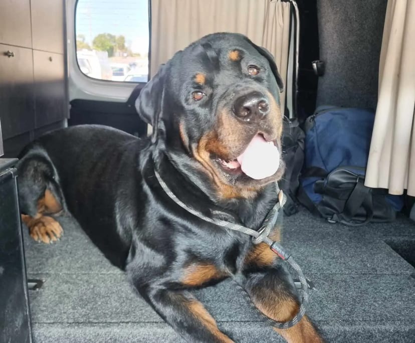 $300, Share-house, 3 bathrooms, Chermside West QLD 4032