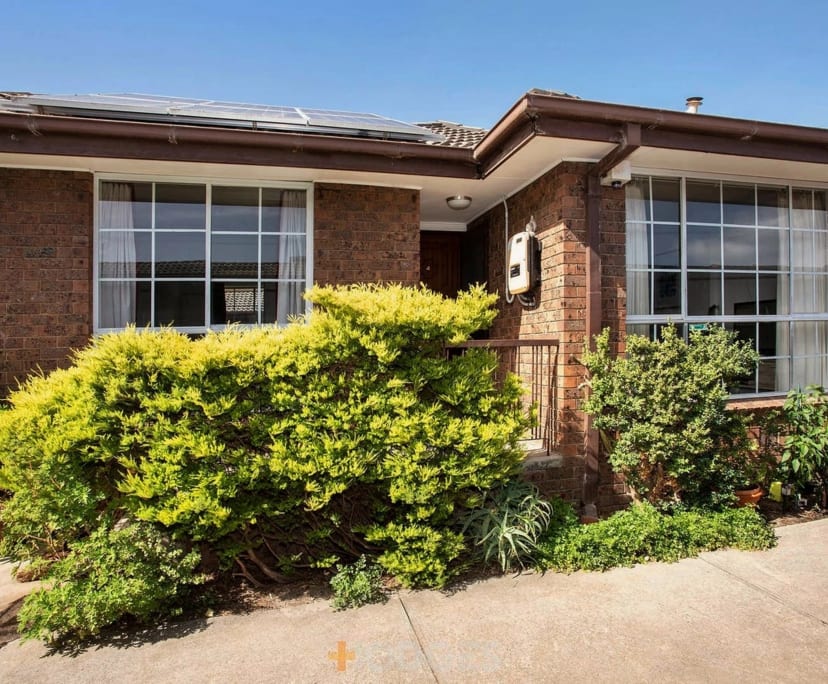 Whole property with 2 rooms for rent