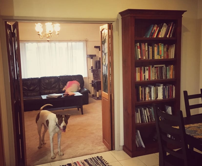 Unfurnished room in a share house