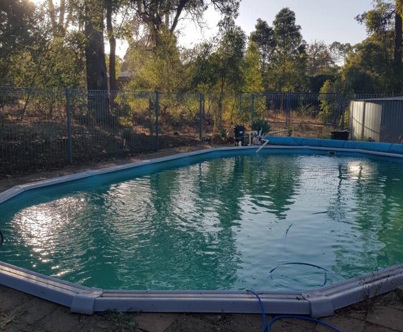 $250, Homestay, 4 bathrooms, Gidgegannup WA 6083
