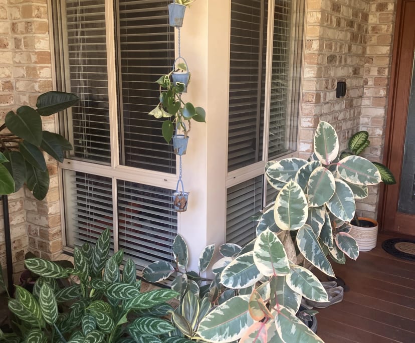 $290, Share-house, 4 bathrooms, Burleigh Waters QLD 4220