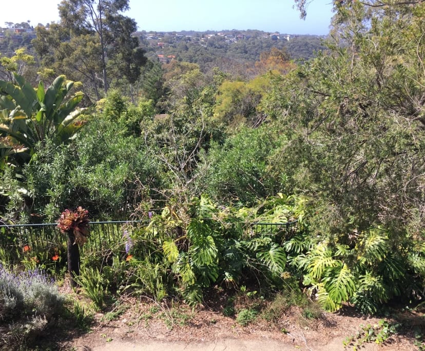 Room for Rent in Middle Cove, Sydney 320, Flexibl...