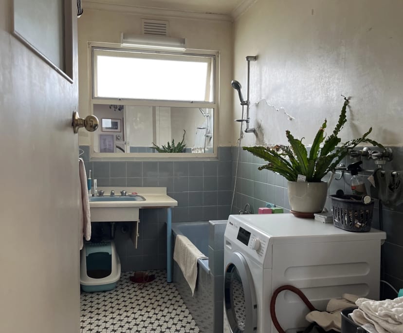 $290, Flatshare, 2 bathrooms, Balaclava VIC 3183